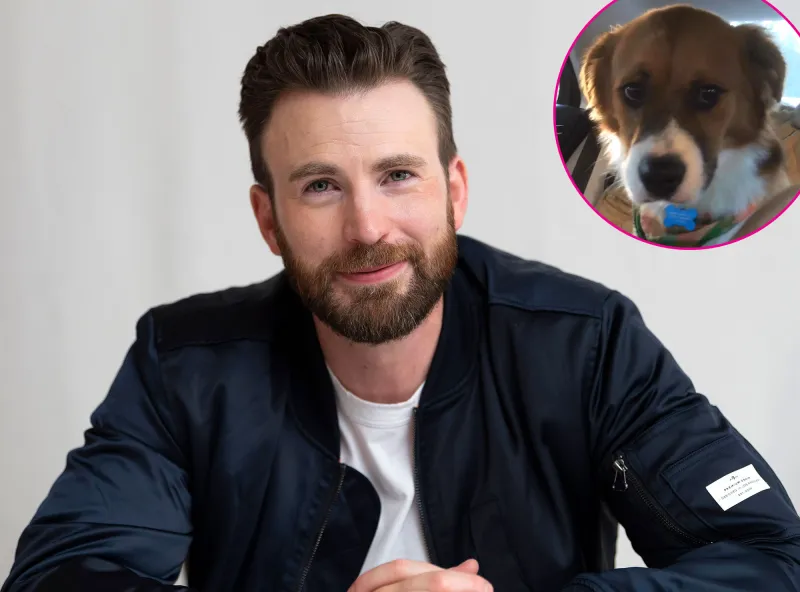 Promo Chris Evans Shares Wholesome 1st Video After Adopting Dog Dodger