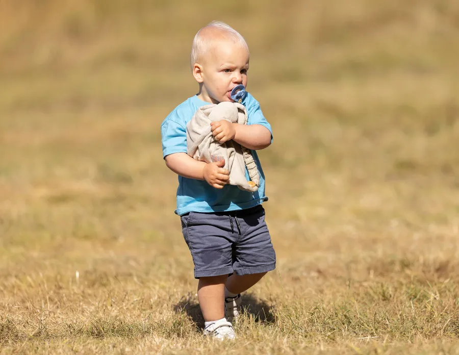 Royal Family- Get to Know the Next Generation 380