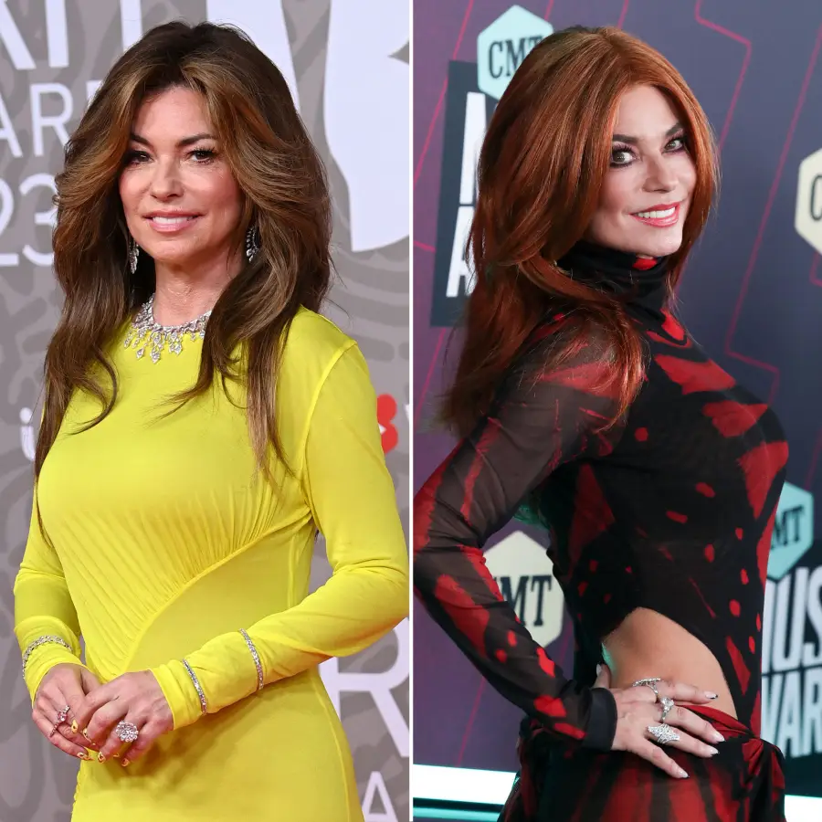 Celeb Hair Changes 2023