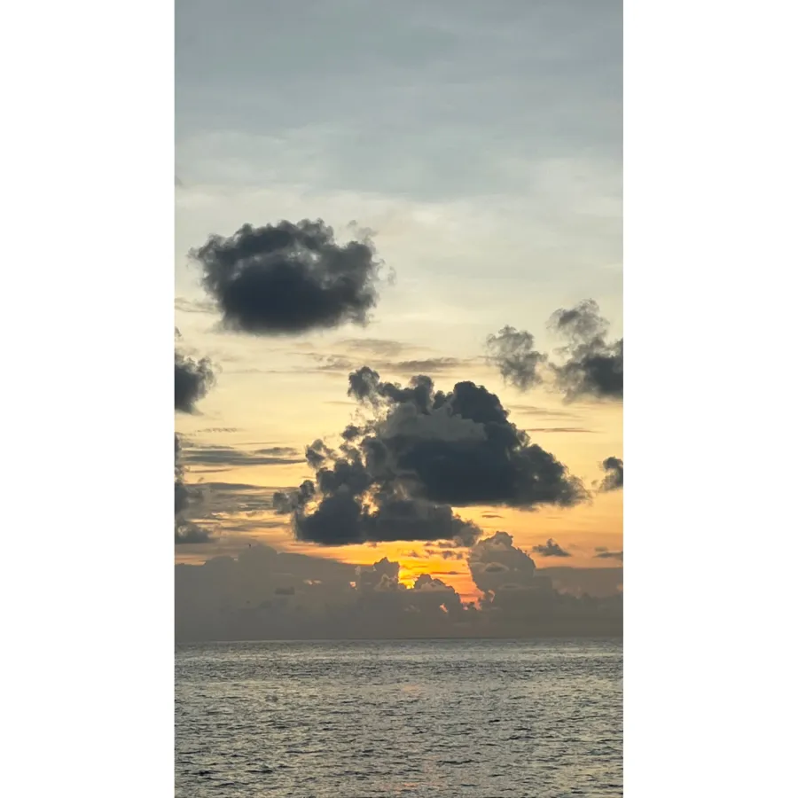 Sofia Richie Offers 1st Glimpse at Tropical Honeymoon With Elliot Grainge