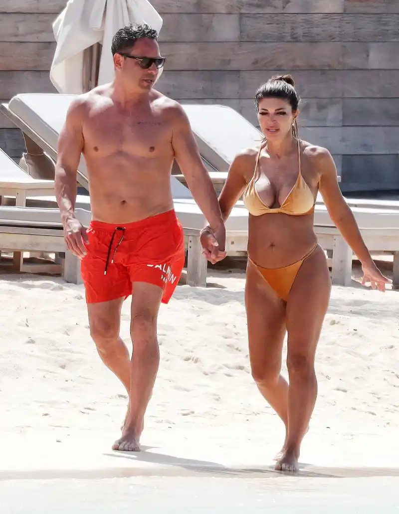 Teresa Giudice and Luis Ruelas Hot Pics