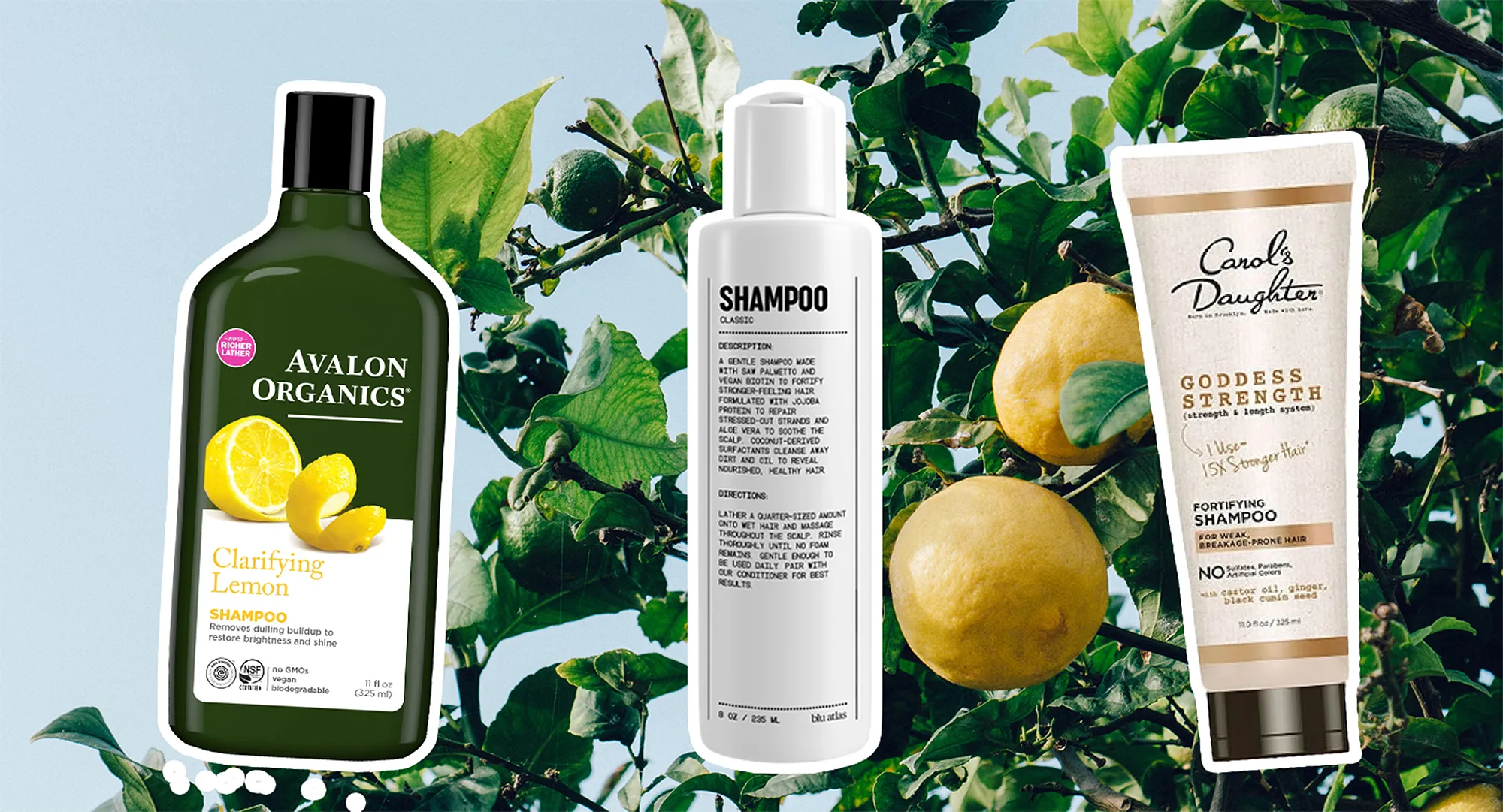 best-natural-shampoos