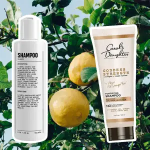 best-natural-shampoos