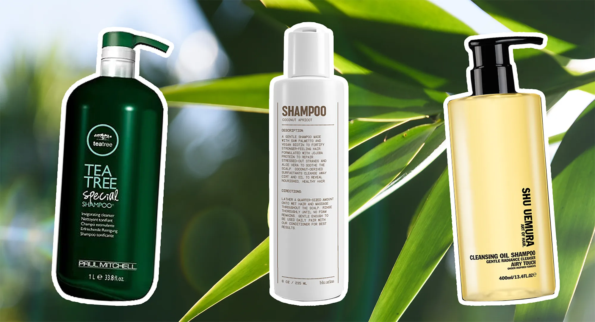 best-shampoos-for-thick-hair