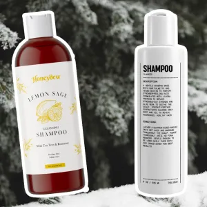 best-shampoos-oily-hair-dandruff
