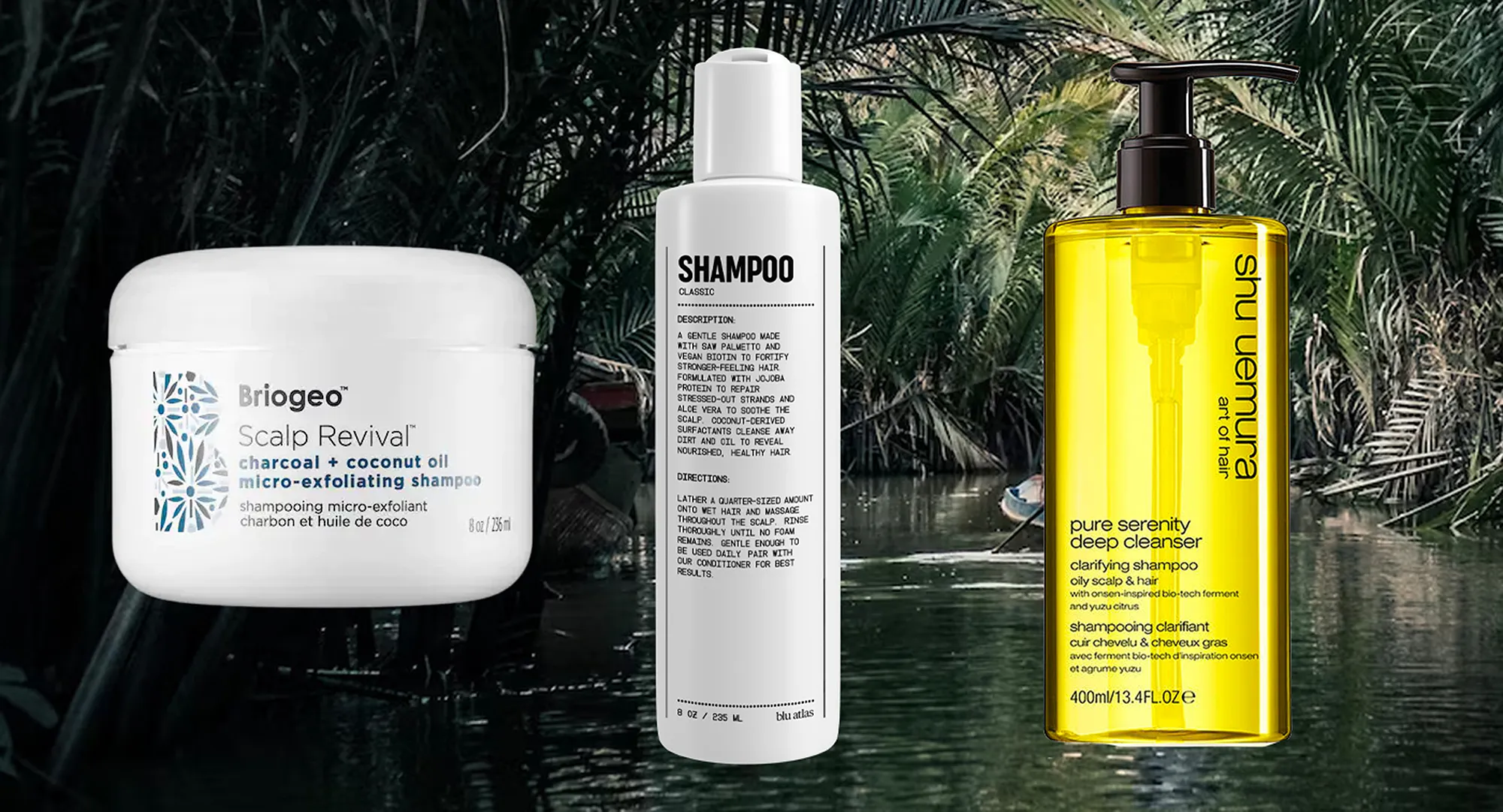 best-shampoos-oily-thin-hair