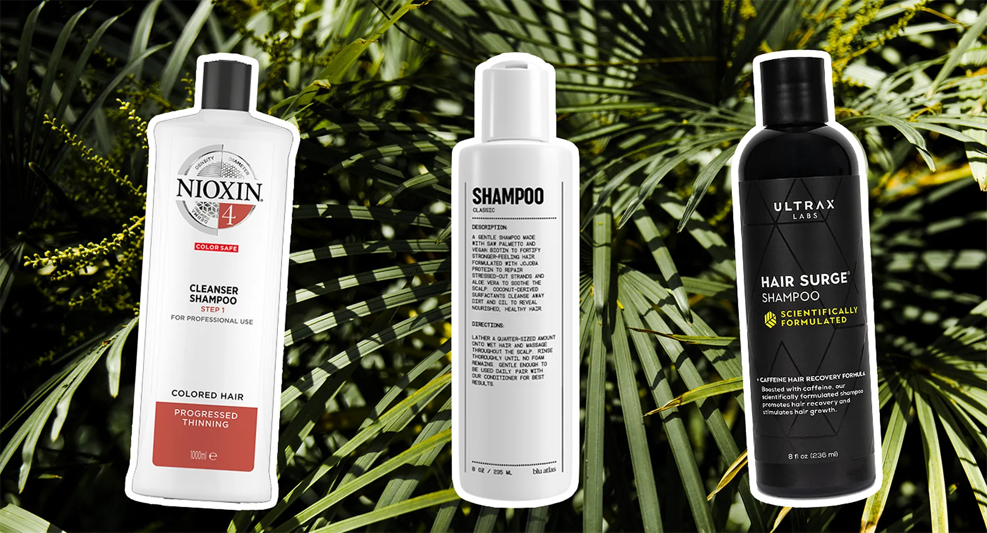 best-shampoos-thinning-hair