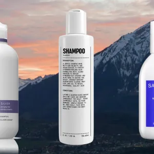 best-shampoo-gray