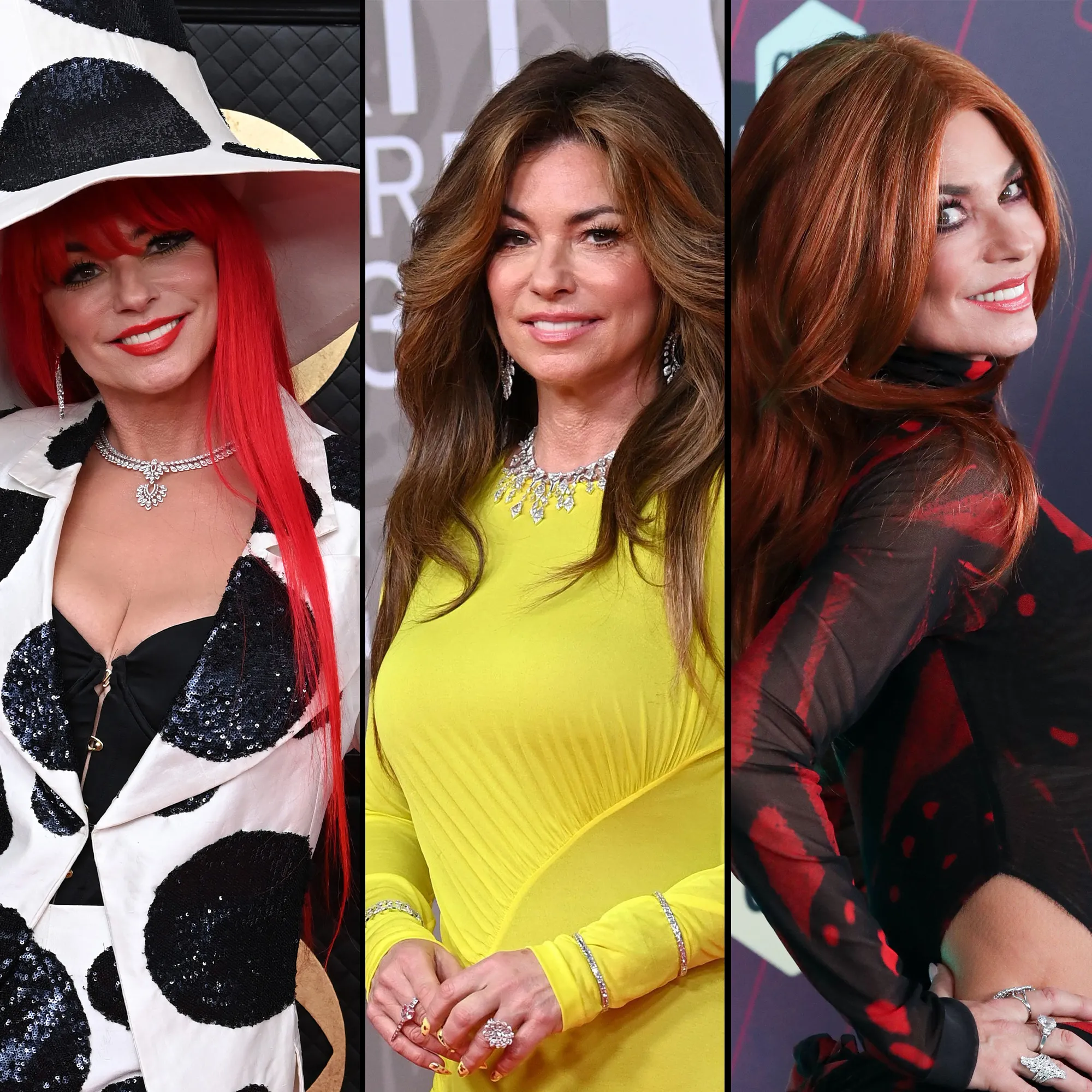 Shania Twain Hair Changes