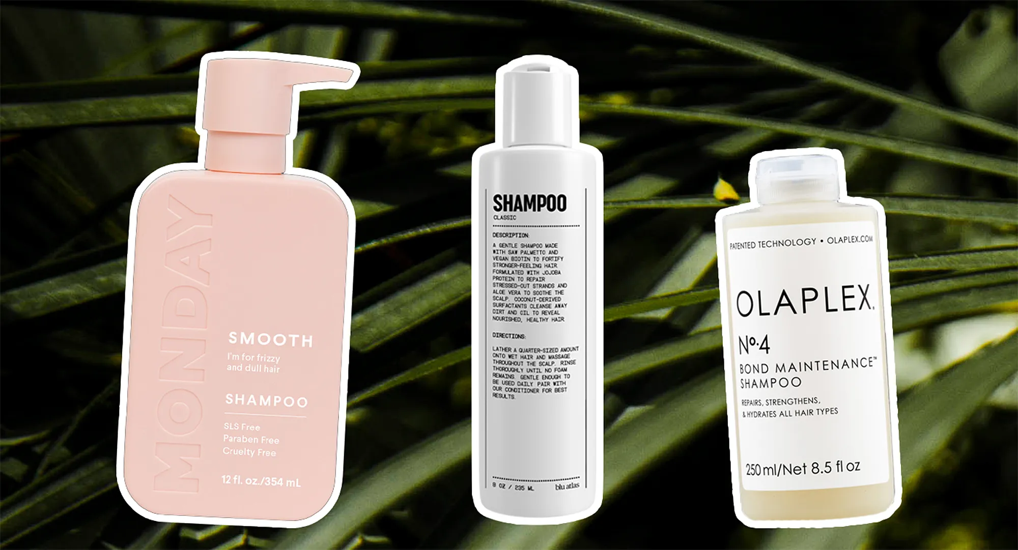 sulfate-free-shampoos