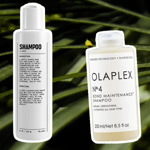sulfate-free-shampoos