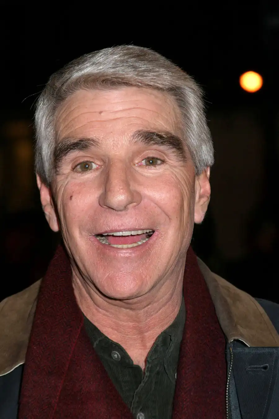 Celebrity Deaths in 2013- Stars We’ve Lost