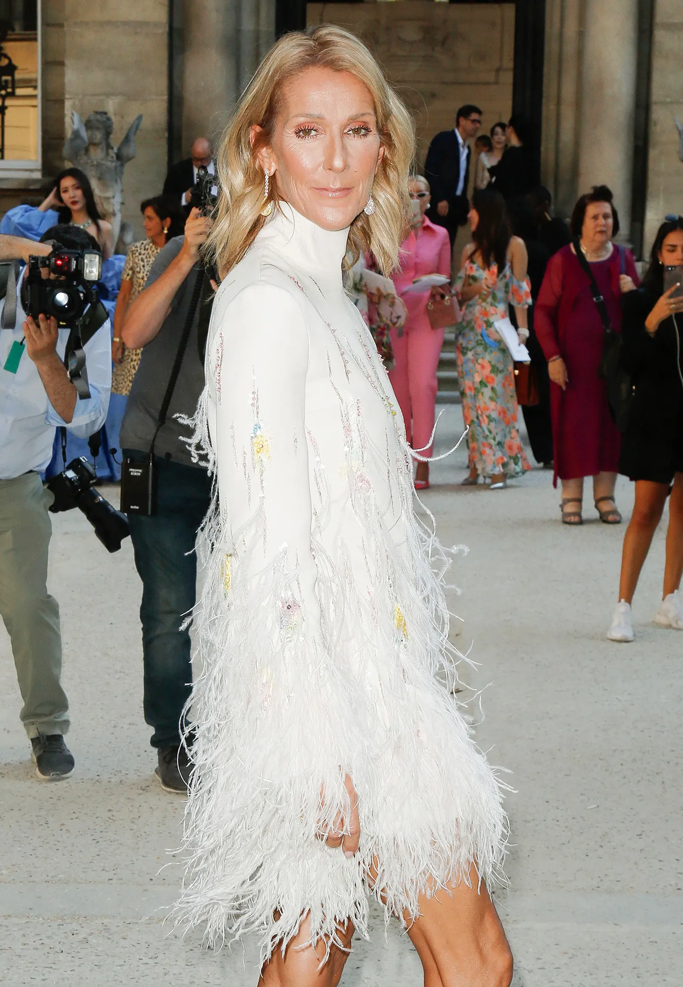 Celine Dion Cancels World Tour Amid Health Challenges