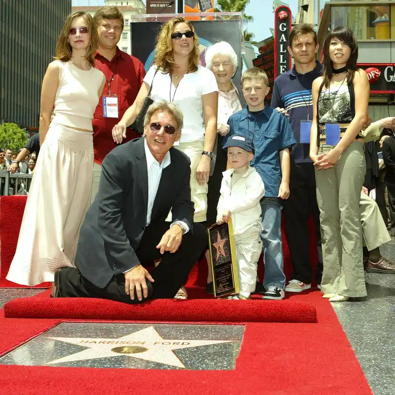 Harrison Ford Says He Hasn't Been the Best Parent to His 5 Kids 2