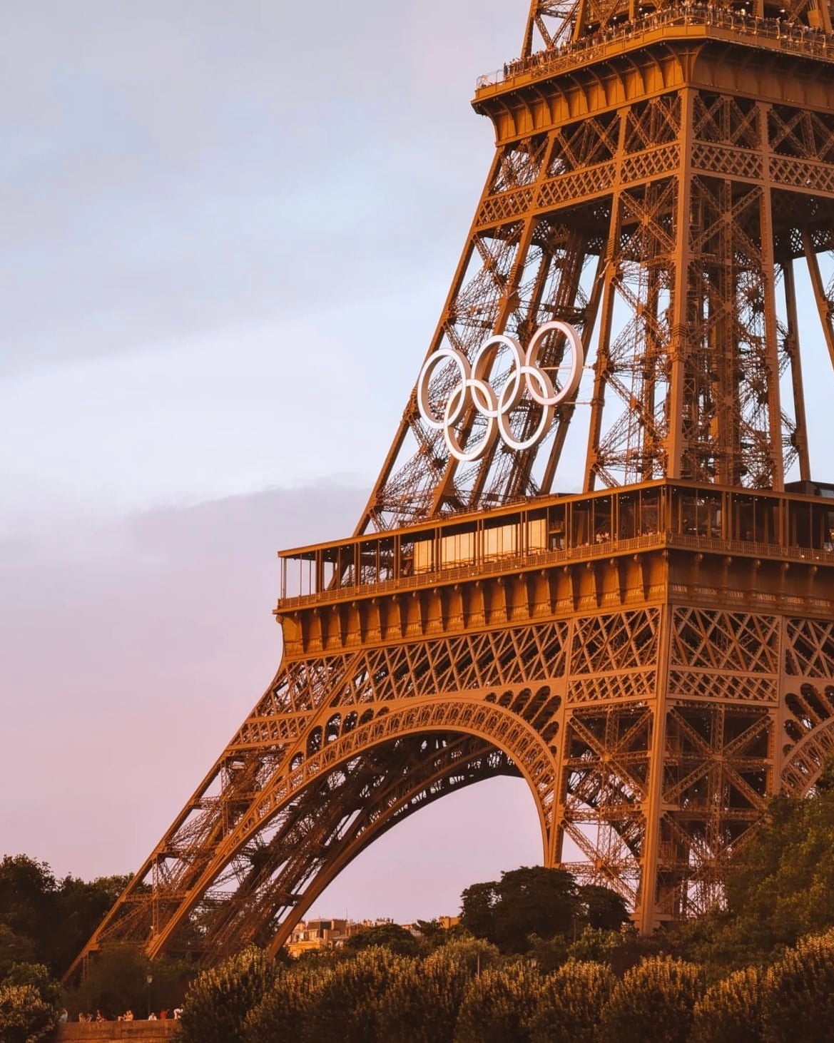 dupe bag arrest,Danger of Traveling with Fake Designer Bags