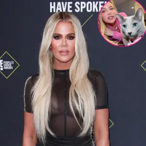 Khloe Kardashian Claps Back at Fan Comment Stating She Will Give Away Her Cat