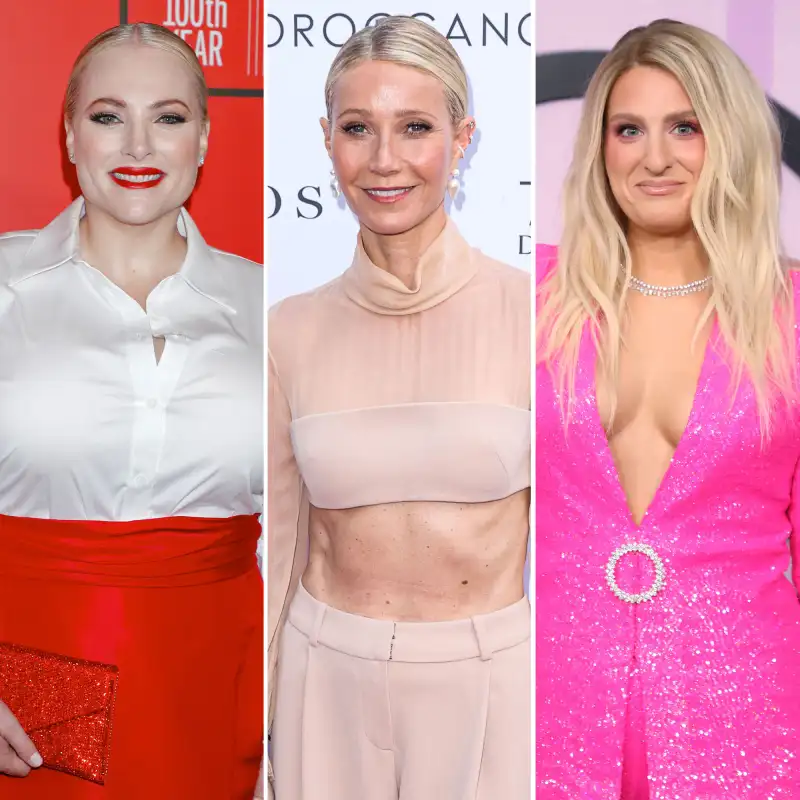 Meghan McCain Calls Out Gwyneth Paltrow and More Stars