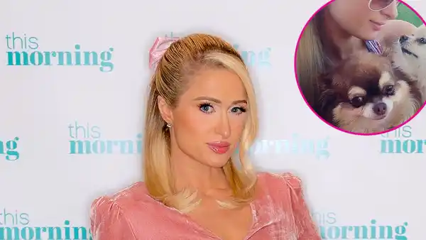 Paris Hilton-s Chihuahua Harajuku Bitch Dies at 23