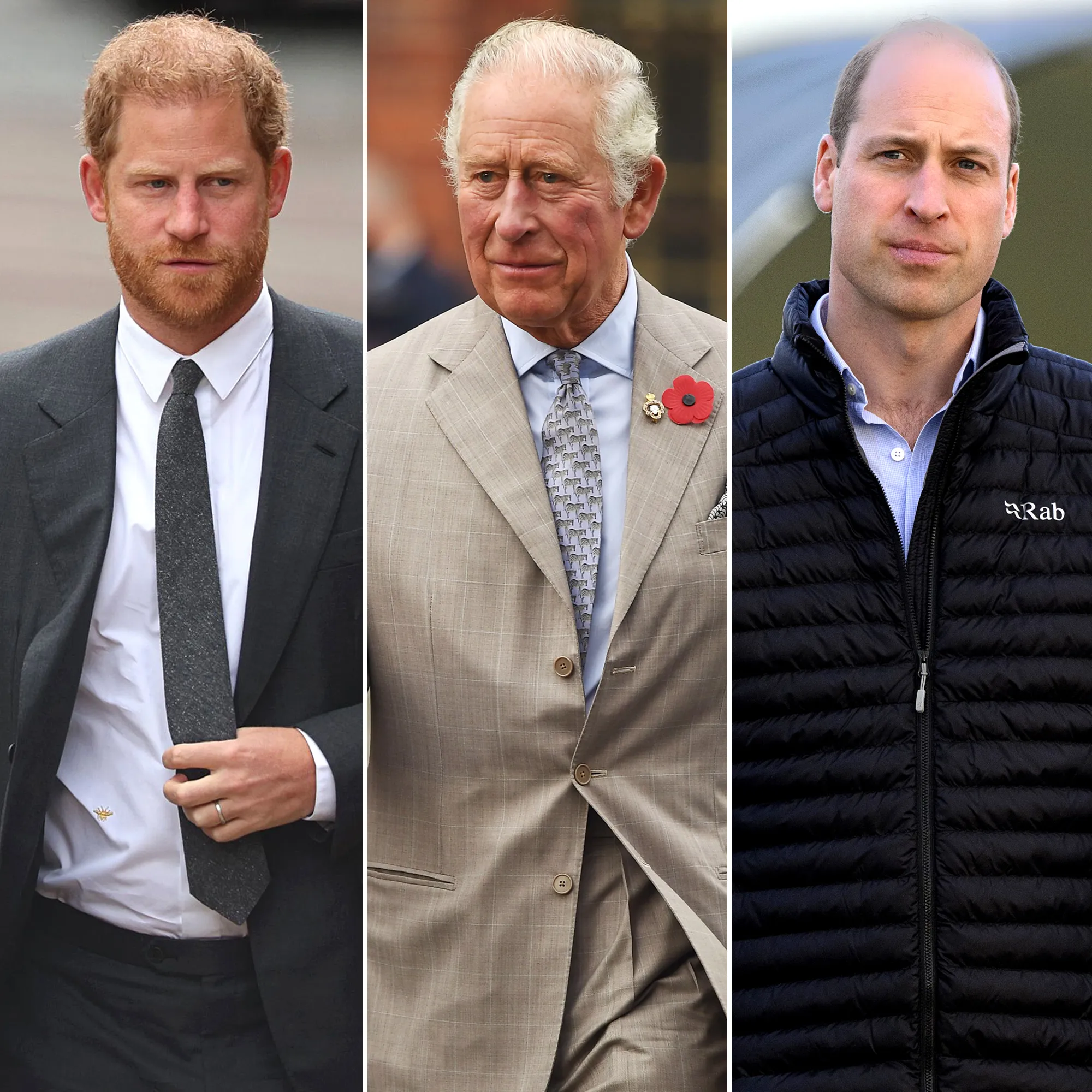 Prince Harry Has &lsquo;Regular Pattern of Conversation&rsquo; With Charles, But &lsquo;Minimal Contact&rsquo; With William