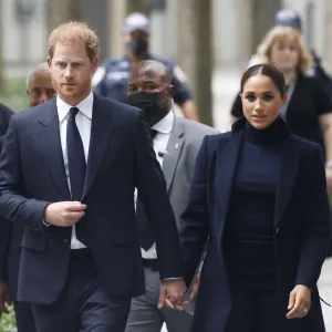 Prince Harry security