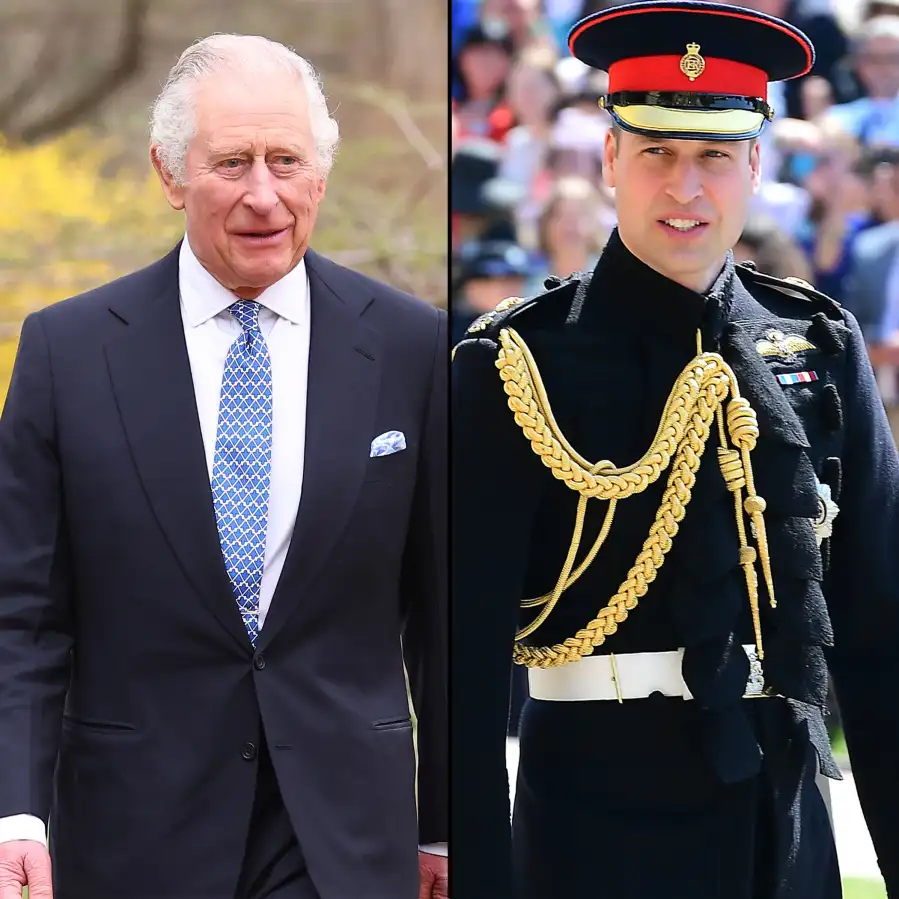 Prince William King Charles Gallery