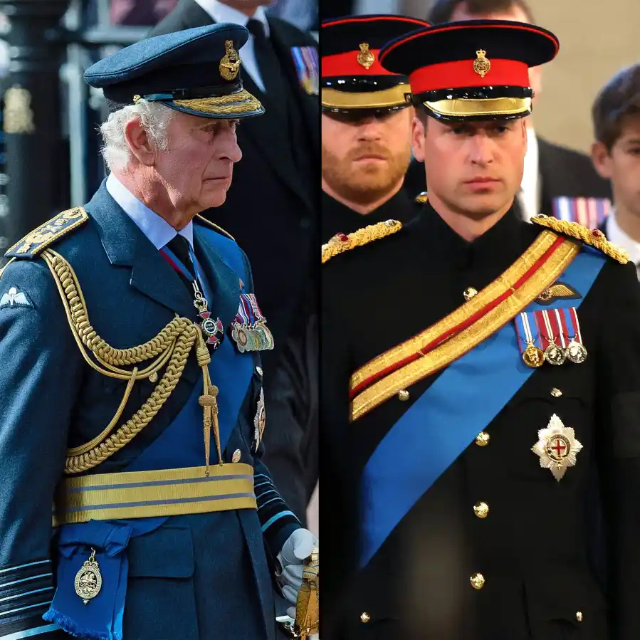 Prince William King Charles Gallery