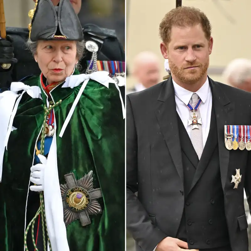 Princess Anne and Prince Harry Are All Smiles While Chatting at King Charles IIIs Coronation Ceremony