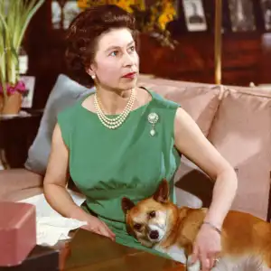 Sarah Ferguson Reveals Where Late Queens Dogs Will Be During Coronation