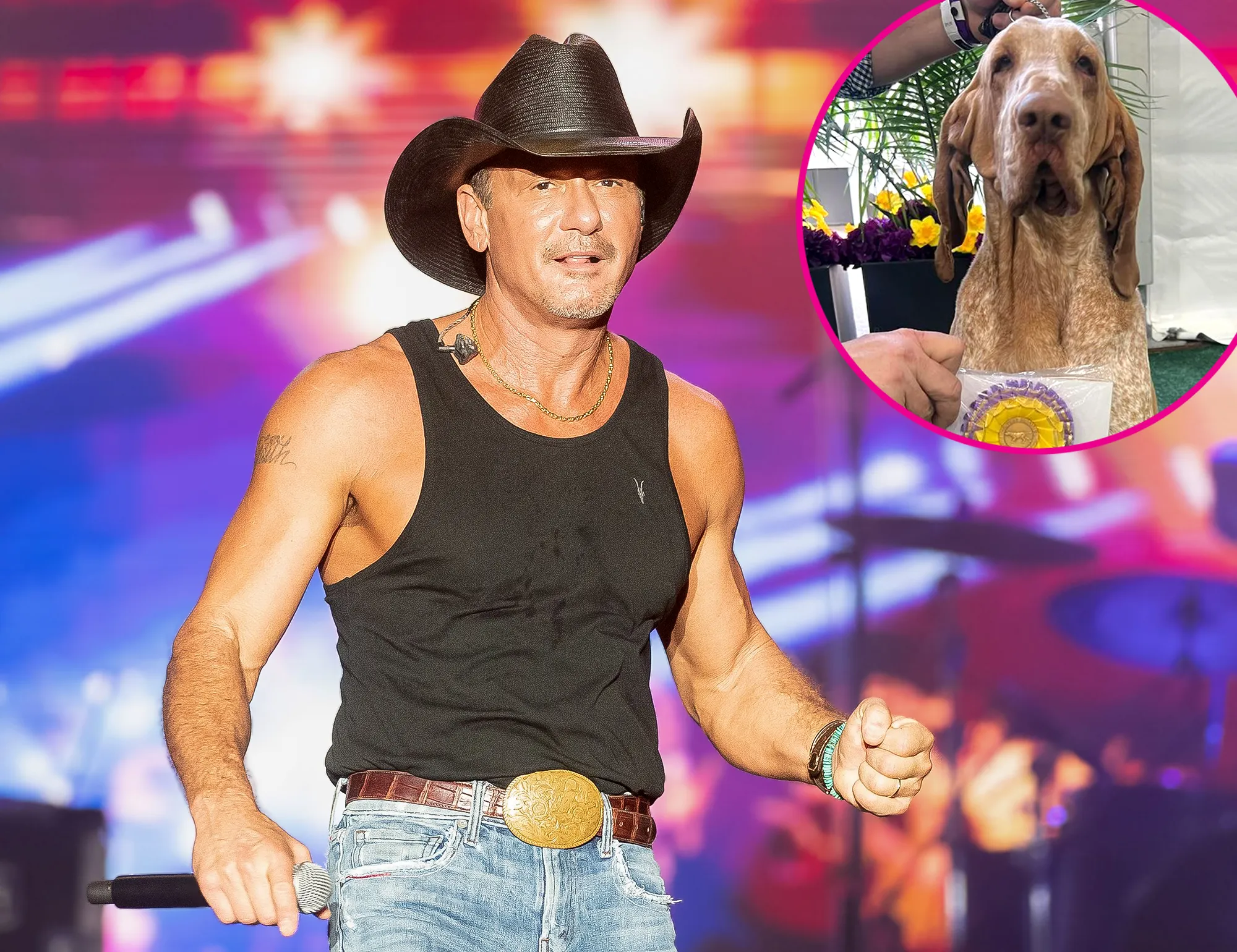 Tim McGraw Is 'So Proud' of Dog Lepshi for Winning 'Best in Breed' at Westminster Kennel Club Dog Show
