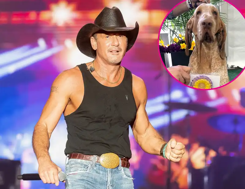 Tim McGraw Is 'So Proud' of Dog Lepshi for Winning 'Best in Breed' at Westminster Kennel Club Dog Show