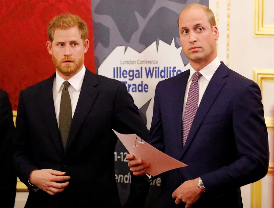 William Through the Years- His Royal Life Fatherhood and More 094