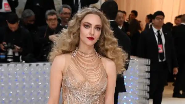 amanda seyfried Met Gala mini gall