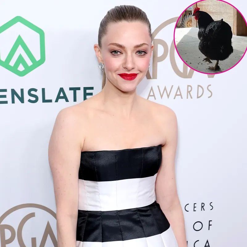 Amanda Seyfried Celebrities Who Have Chicken Coops at Replica Luxury Handbag
