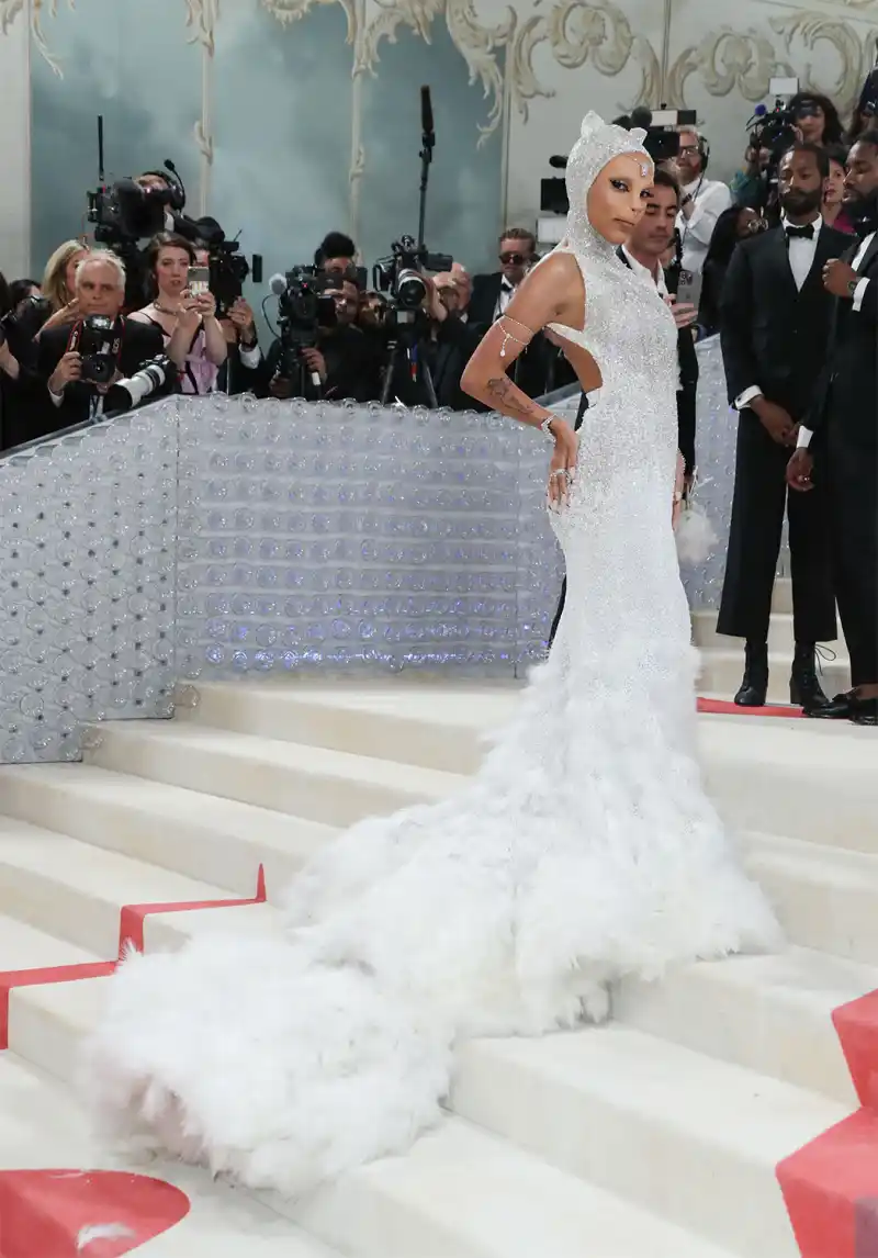 doja-cat-arrived-at-the-2023-met-gala-in-a-feline-gown-photos
