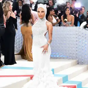 Doja Cat Arrived at the 2023 Met Gala in a Feline Gown Photos