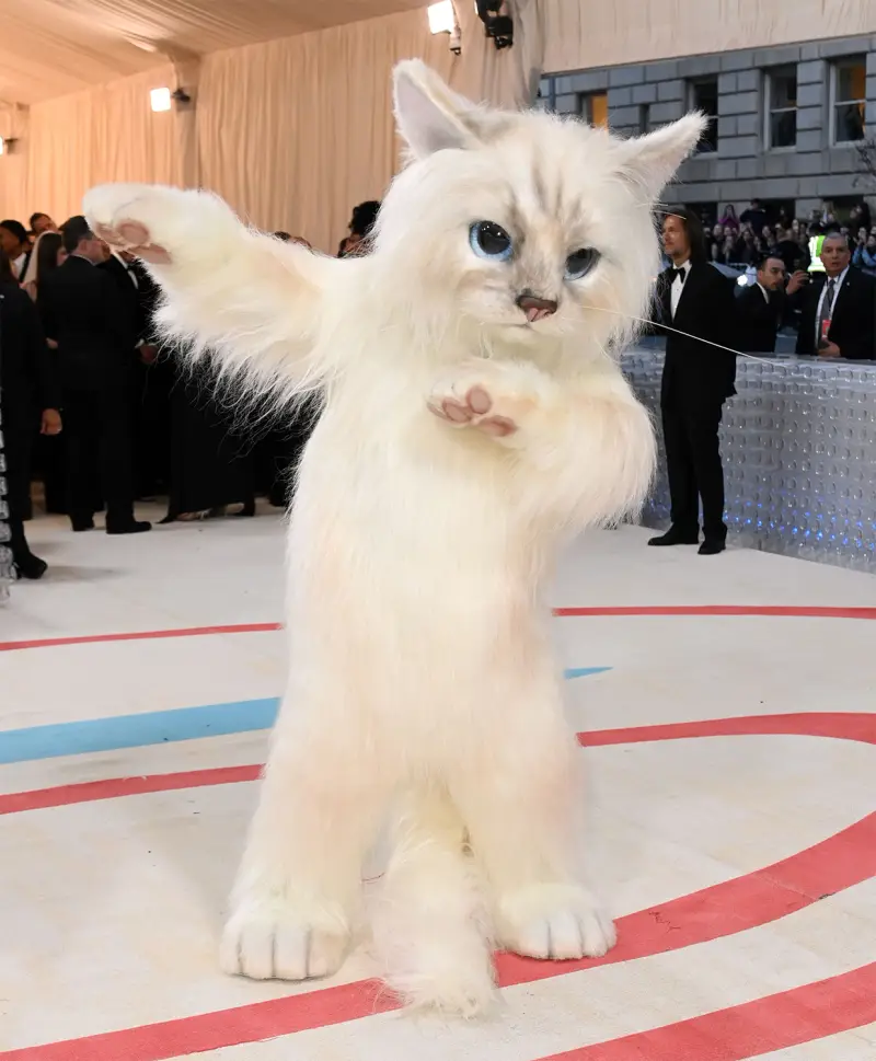 jared-leto-dresses-as-karl-lagerfelds-cat-choupette-for-the-2023-met-gala-photos