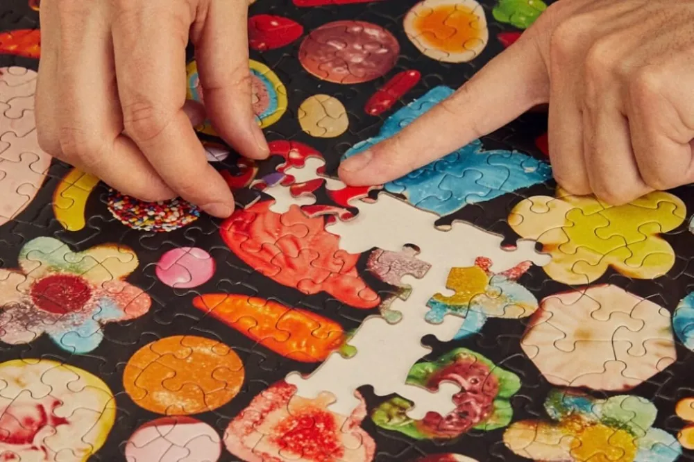 15 Best Puzzles for Adults