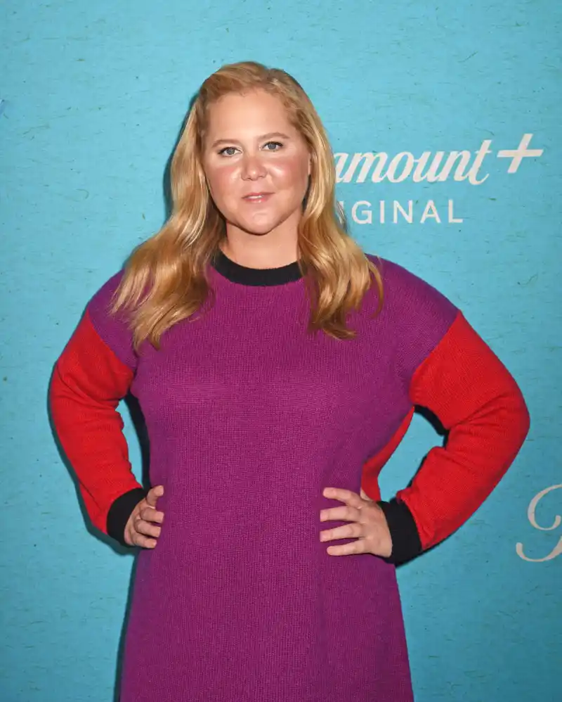 Amy Schumer Explains Why She Is Uncomfortable With Male Actors Having Kids Late in Life