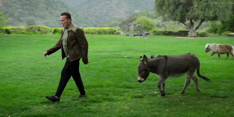 --Arnold--Documentary-Revelations--How-Arnold-Schwarzenegger-Became-a-Millionaire--When-Maria-Shriver-Learned-About-Affair--More-162