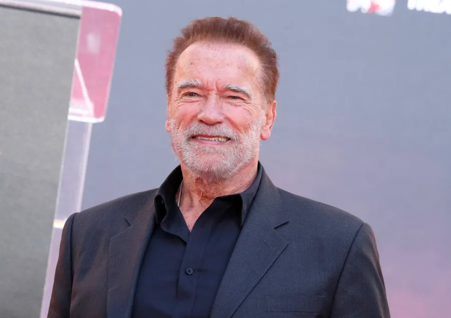 Arnold Schwarzeneggers Familys Quotes On His Affair