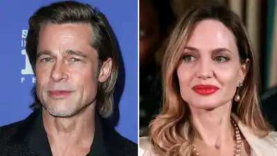 Brad Pitt Claims Angelina Jolie 'Vindictively' Sold His Share of Their Winery as Payback for Custody Battle