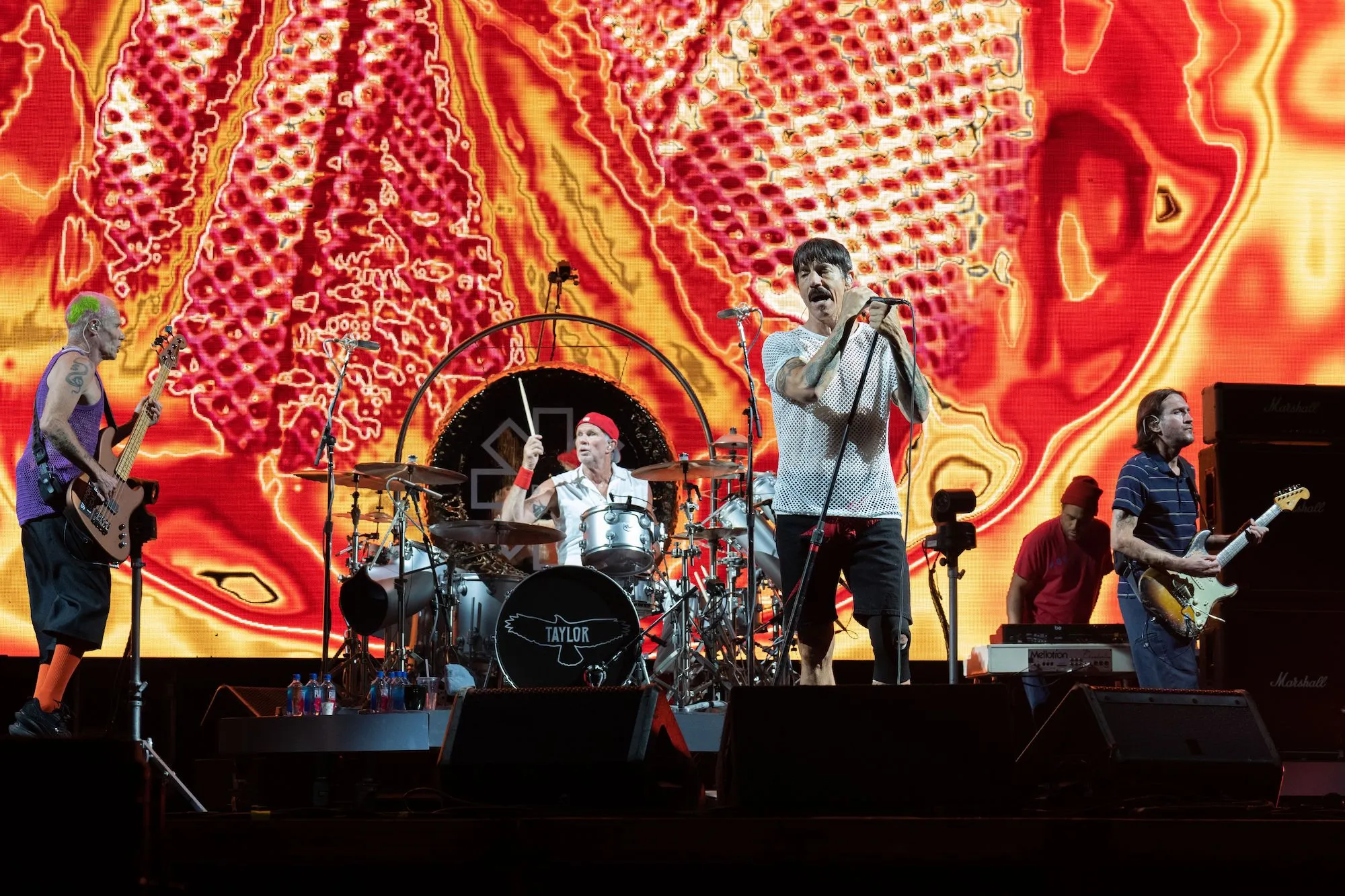 Headlining Artist Profiles of Lollapalooza 2023