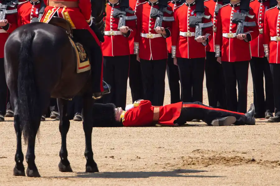 Prince William Praises Soldiers During Trooping the Colour Rehearsal After 2 Guards Faint