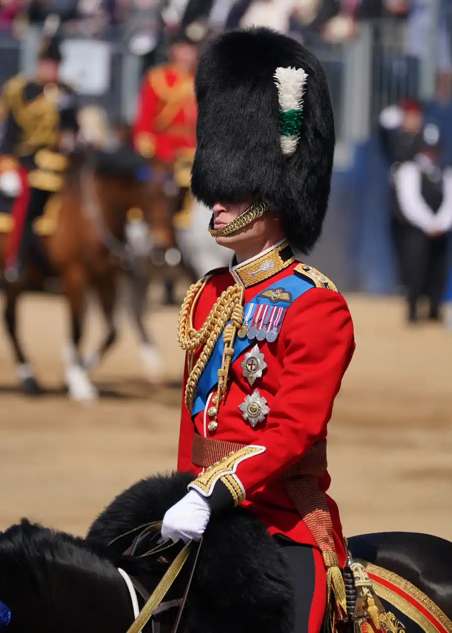 Prince William Praises Soldiers During Trooping the Colour Rehearsal After 2 Guards Faint