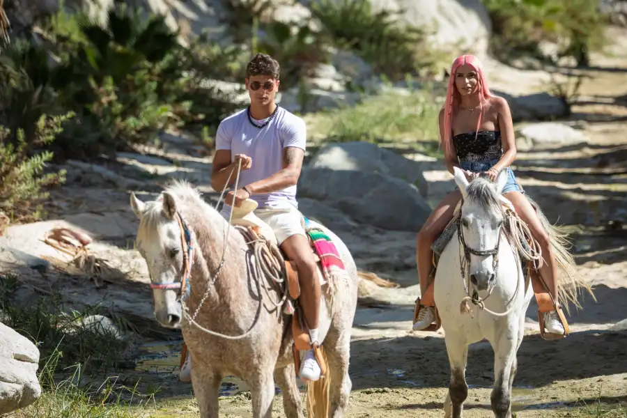 TV Shows Pulled From Streaming Services