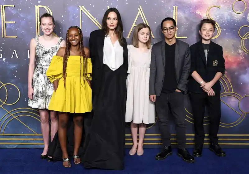 Why Brad Pitt Hasn’t Introduced Ines de Ramon to His Kids Yet