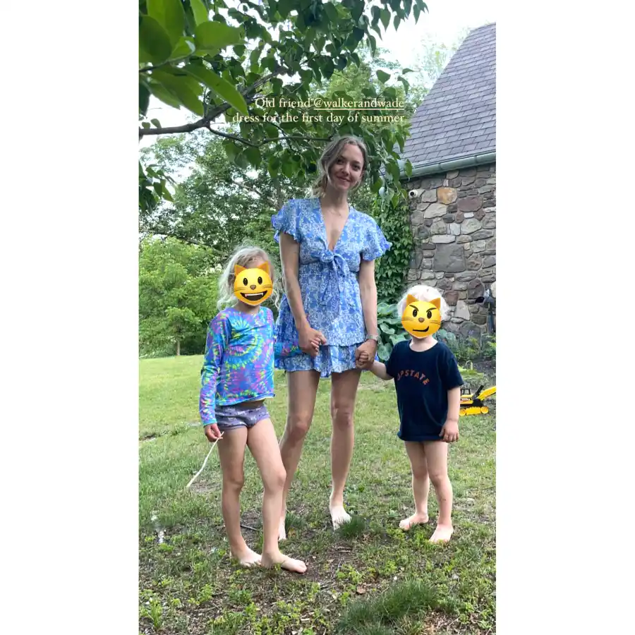 Amanda Seyfried Celebrates 1st Day of Summer With 2 Kids in Rare Family Pic