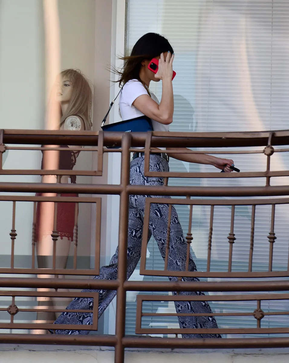 kendall-jenner-snake-print-pants