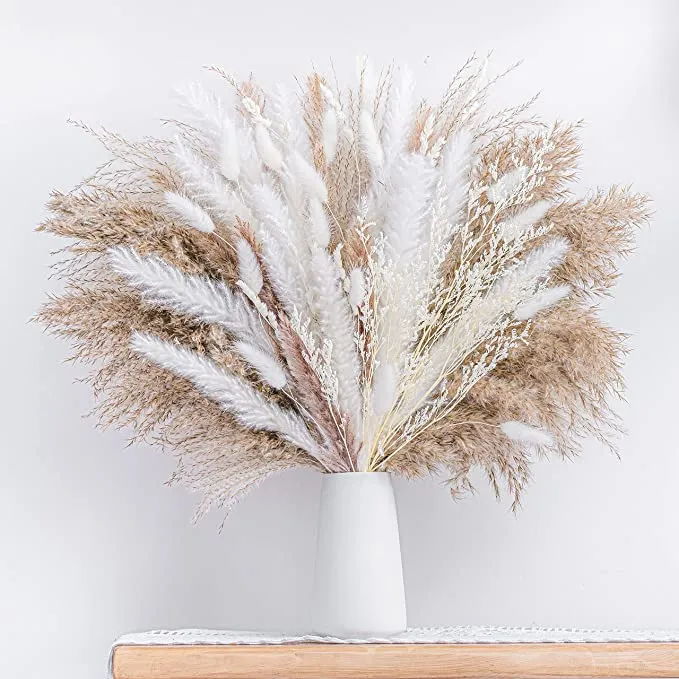 pampas grass