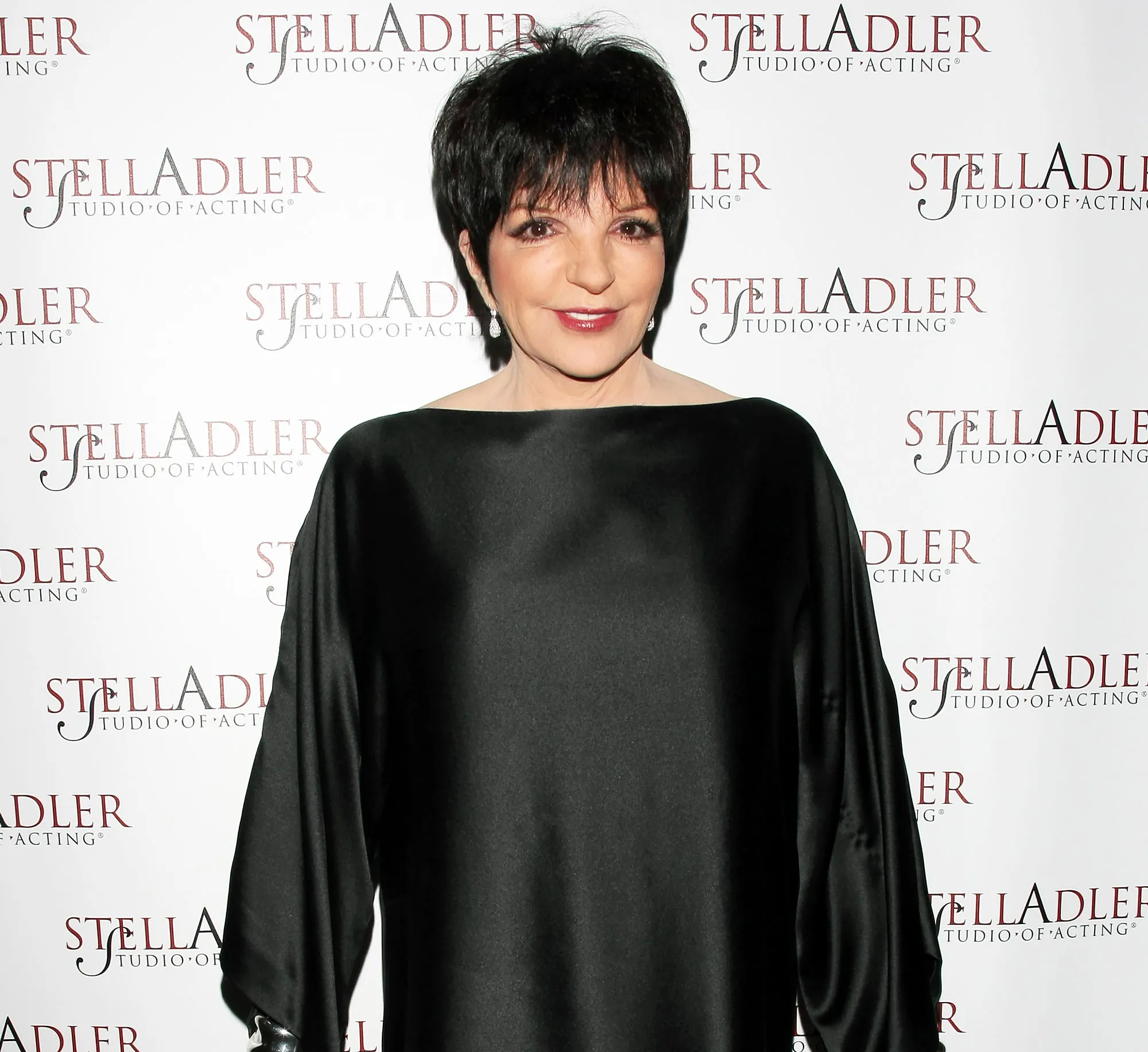 25-Things-You-Dont-Know-About-Me-Liza-Minnelli-2011